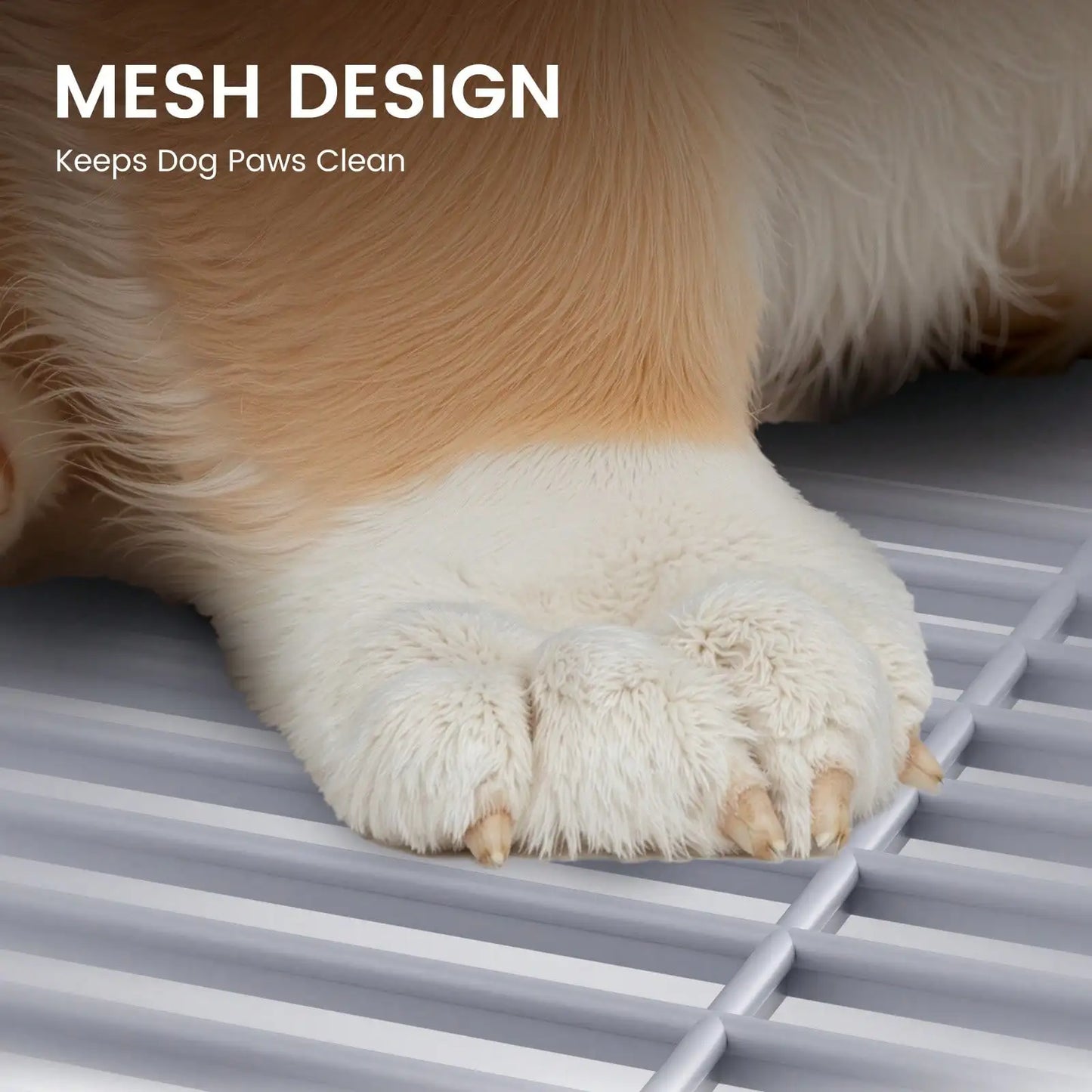 Dog Potty Tray w/Protection Wall, No Leak, Keep Paws Dry & Floors Clean