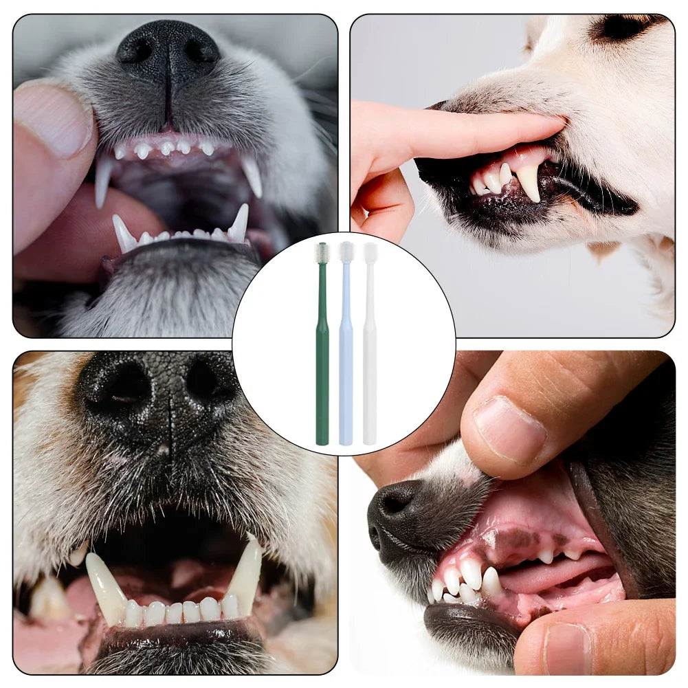 Pet Toothbrush, Super Soft Nylon Bristles