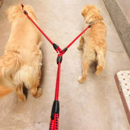 1.4m Pet Double Leash, 2 Way Couplers, Rope Elastic