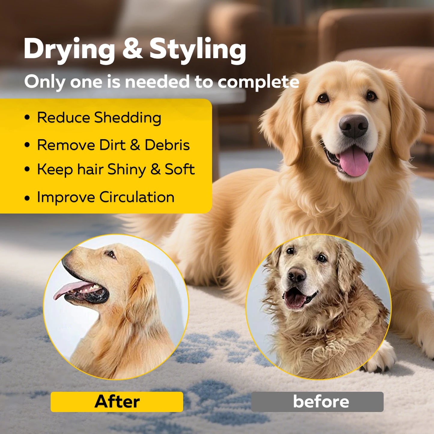 Portable Pet Hair Dryer, Grooming, High Velocity, Quiet, Lightweight, 3 Speeds