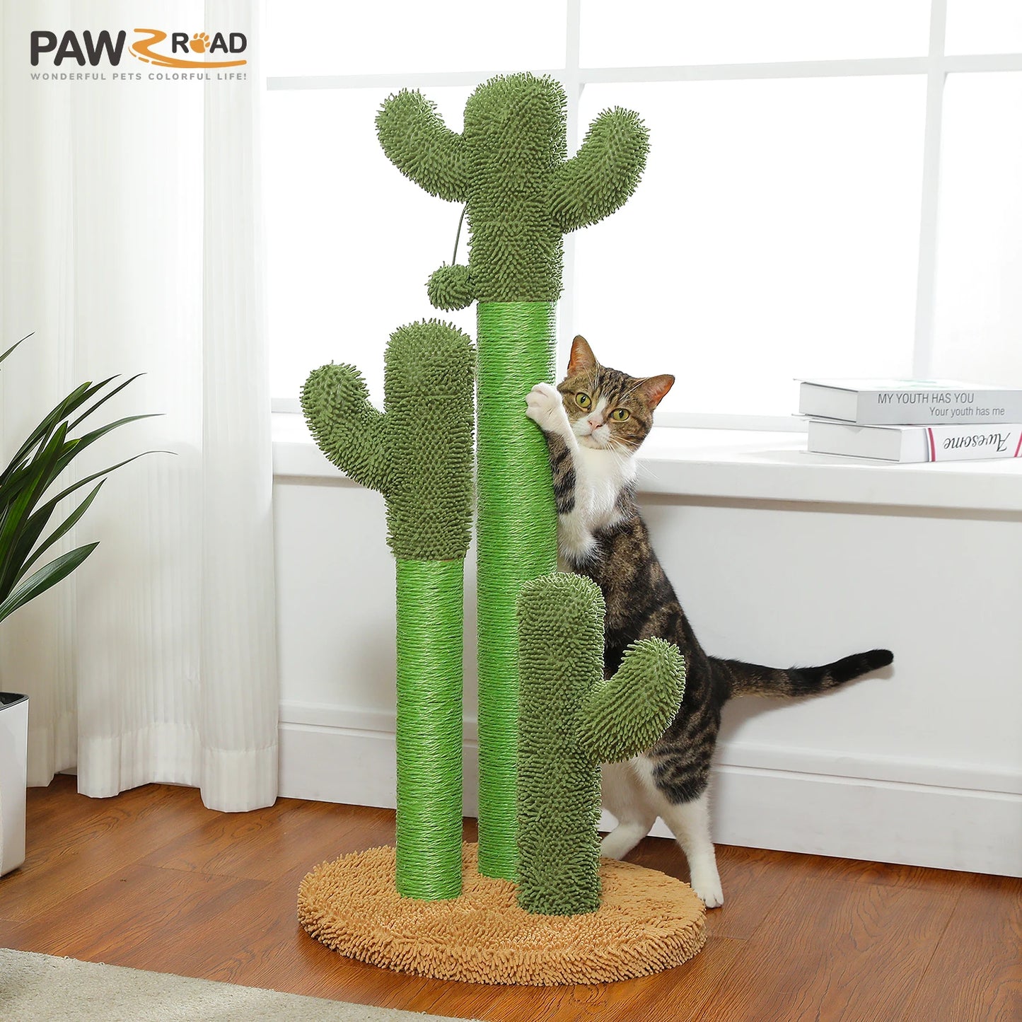 Small Cactus Cat Tree with Condo, Hammock & Dangling Ball